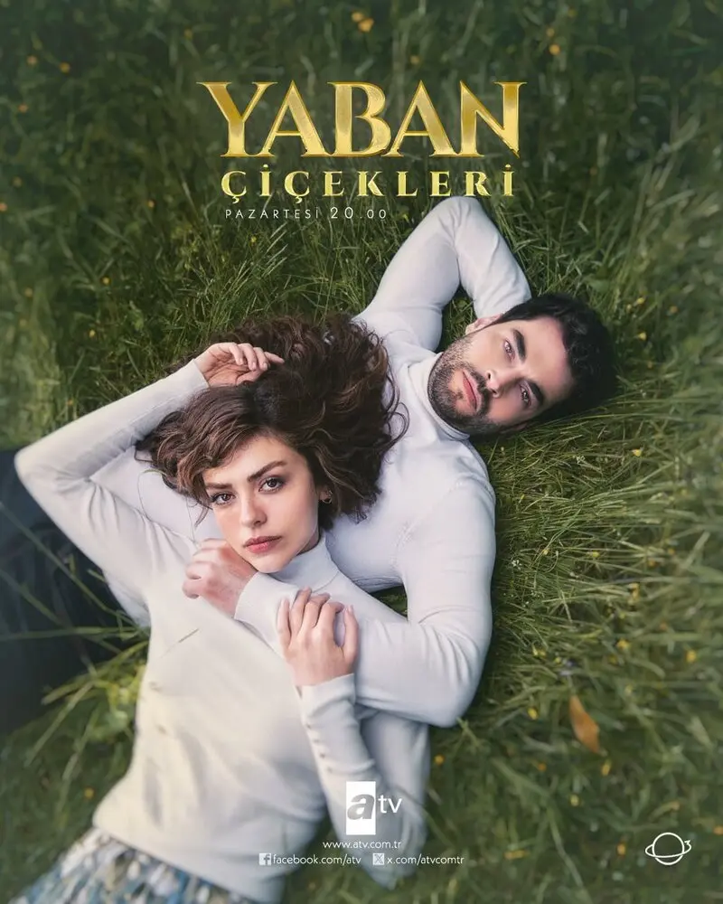 Дикие цветы (сериал 2024) постер