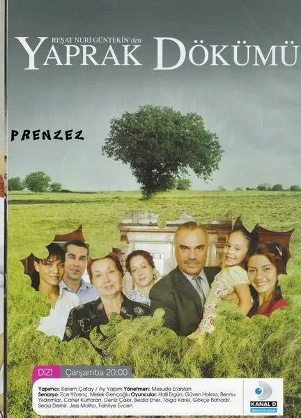Листопад (сериал 2006 – 2010) постер